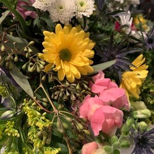 Meet your Posher, Kimberly